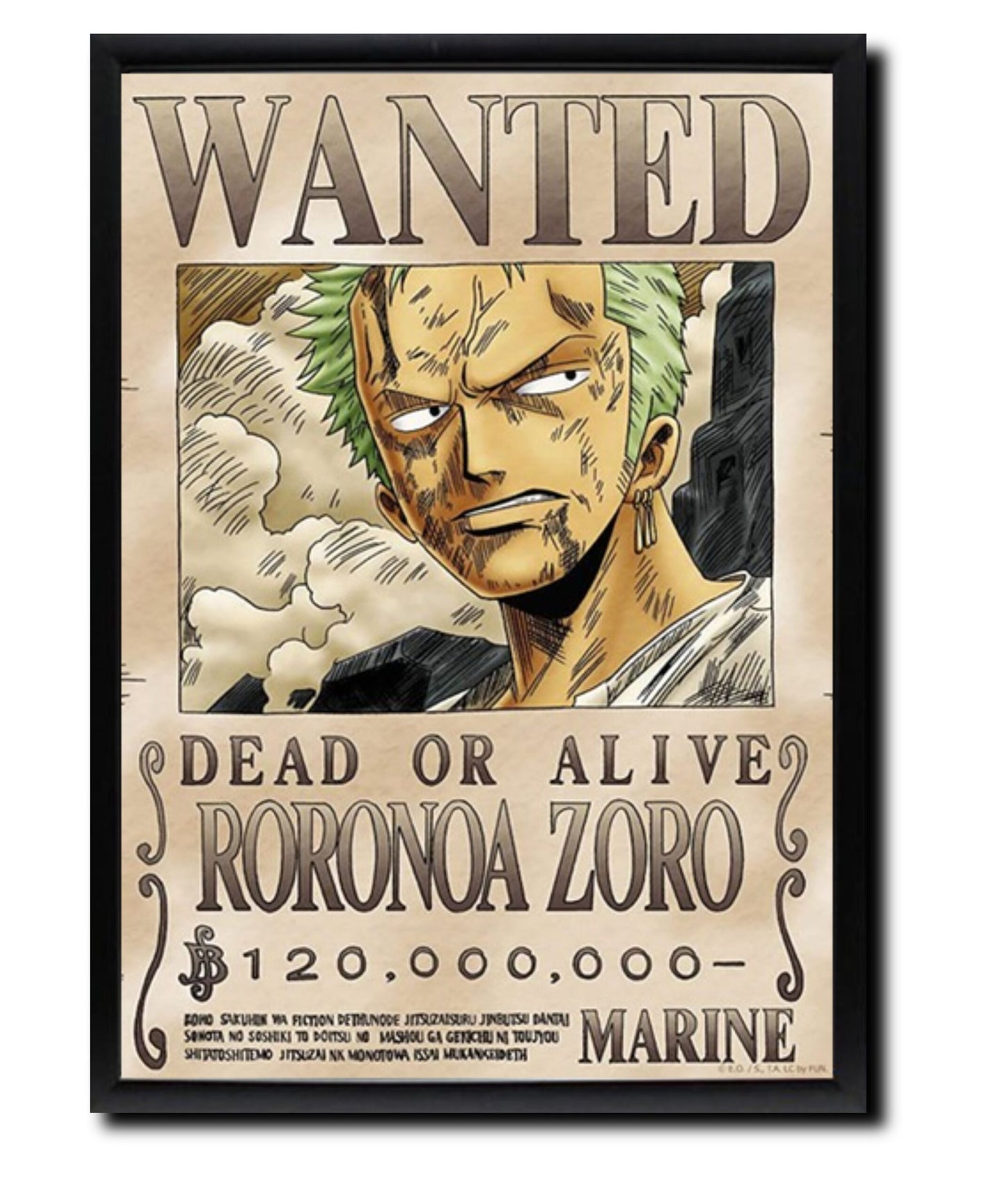 Zoro Wanted Poster